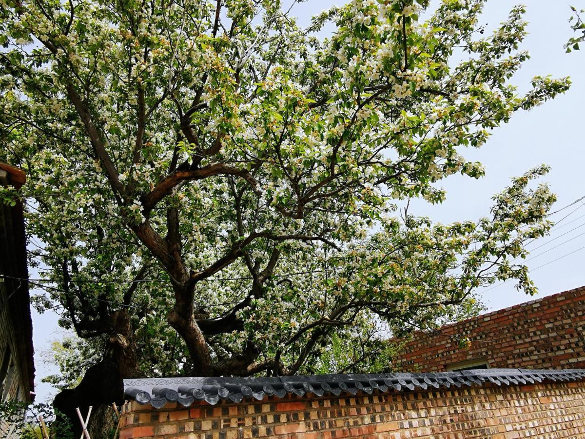 Air Cloud Guesthouse Huajlaj Kültér fotó